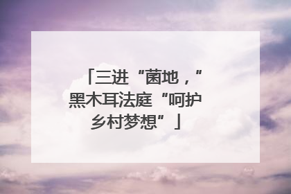 三进“菌地，”黑木耳法庭“呵护乡村梦想”