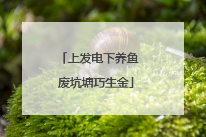 上发电下养鱼 废坑塘巧生金
