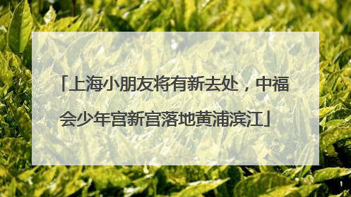 上海小朋友将有新去处，中福会少年宫新宫落地黄浦滨江