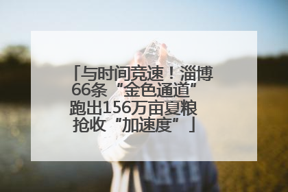 与时间竞速！淄博66条“金色通道”跑出156万亩夏粮抢收“加速度”