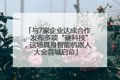 与7家企业达成合作、发布多项“硬科技”，这场具身智能机器人大会蓉城启幕