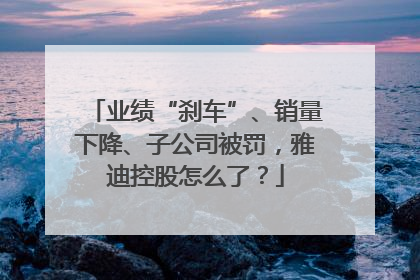 业绩“刹车”、销量下降、子公司被罚，雅迪控股怎么了？