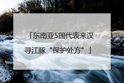 东南亚5国代表来汉寻江豚“保护处方”