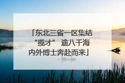 东北三省一区集结“揽才” 逾八千海内外博士奔赴而来