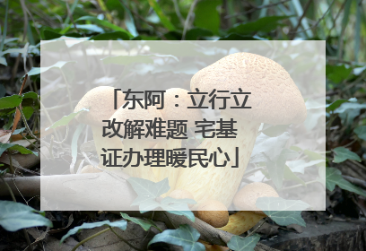 东阿：立行立改解难题 宅基证办理暖民心