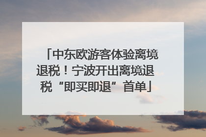 中东欧游客体验离境退税！宁波开出离境退税“即买即退”首单