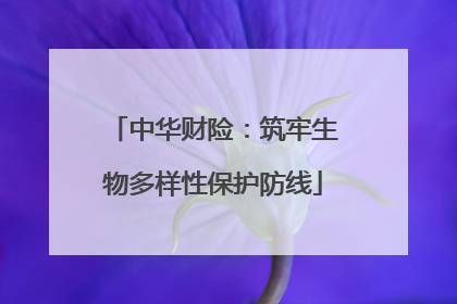 中华财险：筑牢生物多样性保护防线
