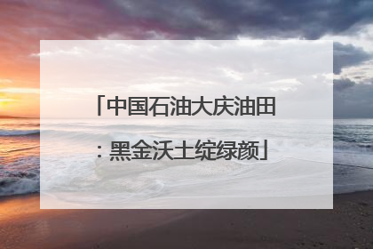 中国石油大庆油田：黑金沃土绽绿颜