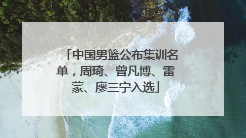 中国男篮公布集训名单，周琦、曾凡博、雷蒙、廖三宁入选