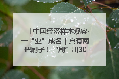 中国经济样本观察·一“业”成名｜真有两把刷子！“刷”出30亿级“颜值经济”