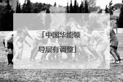 中国华能领导层有调整