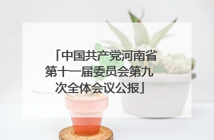 中国共产党河南省第十一届委员会第九次全体会议公报