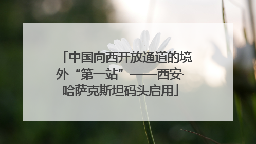 中国向西开放通道的境外“第一站”——西安·哈萨克斯坦码头启用