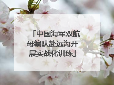 中国海军双航母编队赴远海开展实战化训练