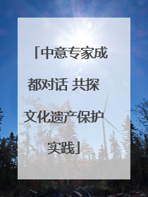 中意专家成都对话 共探文化遗产保护实践