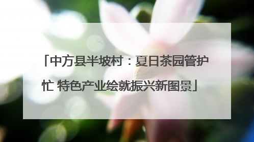 中方县半坡村：夏日茶园管护忙 特色产业绘就振兴新图景