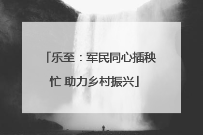 乐至：军民同心插秧忙 助力乡村振兴