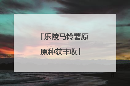 乐陵马铃薯原原种获丰收