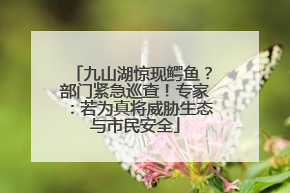 九山湖惊现鳄鱼？部门紧急巡查！专家：若为真将威胁生态与市民安全