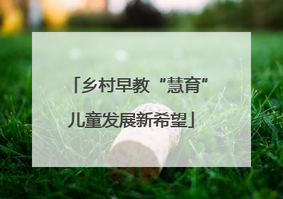 乡村早教“慧育”儿童发展新希望
