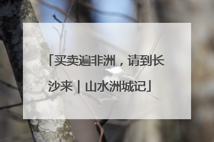 买卖遍非洲，请到长沙来｜山水洲城记