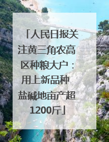 人民日报关注黄三角农高区种粮大户：用上新品种 盐碱地亩产超1200斤