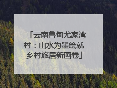 云南鲁甸尤家湾村：山水为墨绘就乡村旅居新画卷