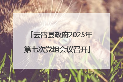 云霄县政府2025年第七次党组会议召开