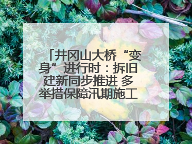 井冈山大桥“变身”进行时：拆旧建新同步推进 多举措保障汛期施工（图）