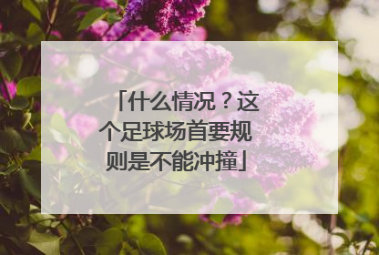 什么情况？这个足球场首要规则是不能冲撞