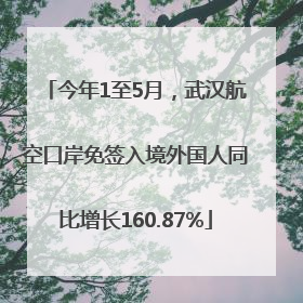 今年1至5月，武汉航空口岸免签入境外国人同比增长160.87%