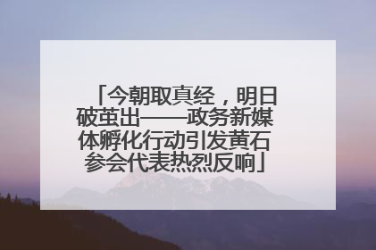 今朝取真经，明日破茧出——政务新媒体孵化行动引发黄石参会代表热烈反响