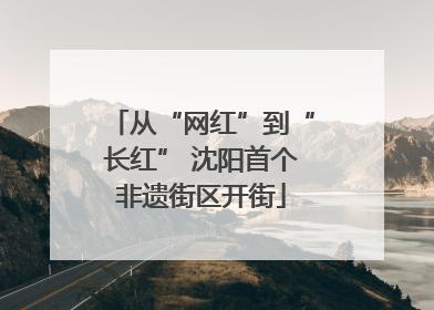 从“网红”到“长红” 沈阳首个非遗街区开街
