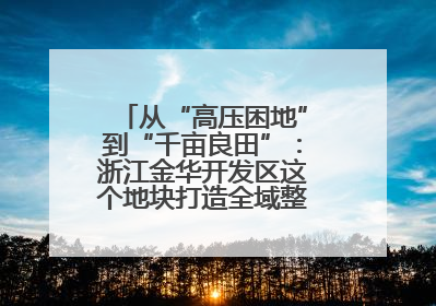 从“高压困地”到“千亩良田”：浙江金华开发区这个地块打造全域整治示范样本