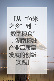 从“鱼米之乡”到“数字粮仓”：湖南粮油产业高质量发展的创新实践