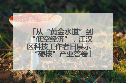 从“黄金水道”到“低空经济”，江汉区科技工作者日展示“硬核”产业答卷