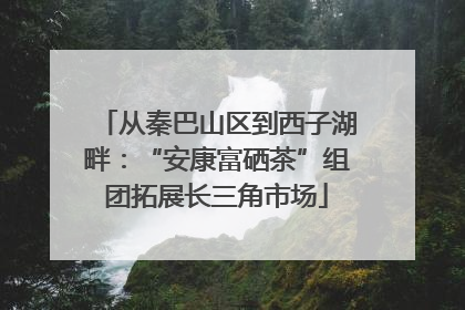 从秦巴山区到西子湖畔：“安康富硒茶”组团拓展长三角市场