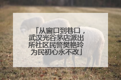 从窗口到巷口，武汉光谷茅店派出所社区民警樊艳玲为民初心永不改