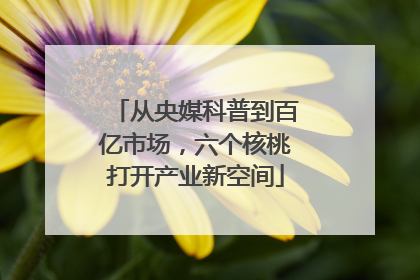 从央媒科普到百亿市场，六个核桃打开产业新空间