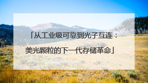 从工业级可靠到光子互连：美光颗粒的下一代存储革命