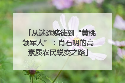 从迷途赌徒到“黄桃领军人”：肖石明的高素质农民蜕变之路