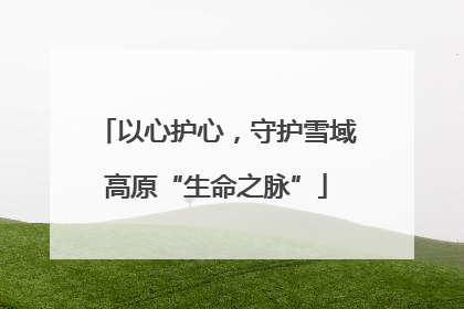 以心护心，守护雪域高原“生命之脉”
