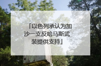 以色列承认为加沙一支反哈马斯武装提供支持