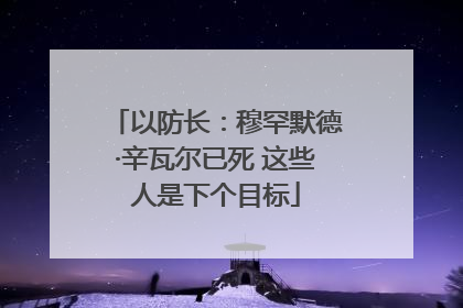 以防长：穆罕默德·辛瓦尔已死 这些人是下个目标