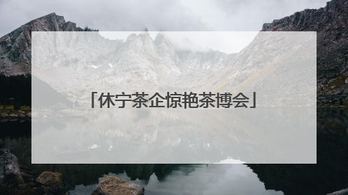 休宁茶企惊艳茶博会