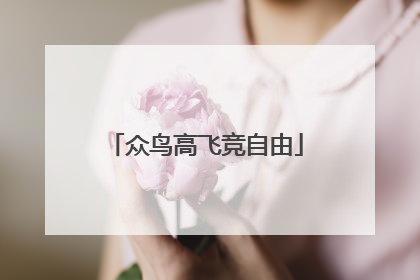众鸟高飞竞自由