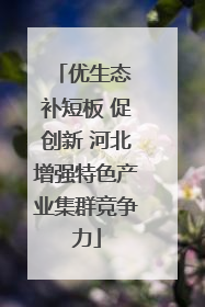 优生态 补短板 促创新 河北增强特色产业集群竞争力