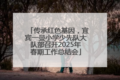传承红色基因，宜宾一曼小学少先队大队部召开2025年春期工作总结会