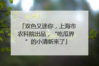 双色又迷你，上海市农科院出品，“吃瓜界”的小清新来了