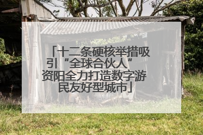 十二条硬核举措吸引“全球合伙人” 资阳全力打造数字游民友好型城市